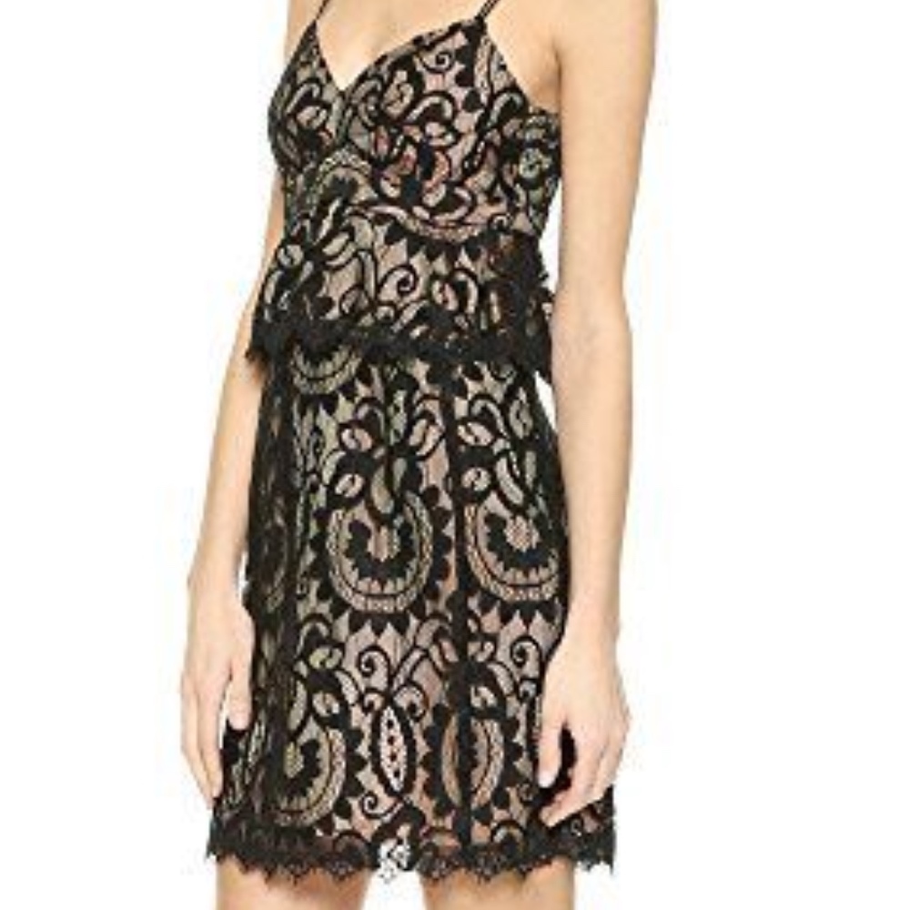 Nanette Lepore Venetian Lace Slip Dress - Picture 1 of 8